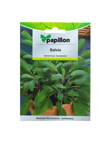 Semillas Aromaticas Salvia (1 gramo) - Imagen 1