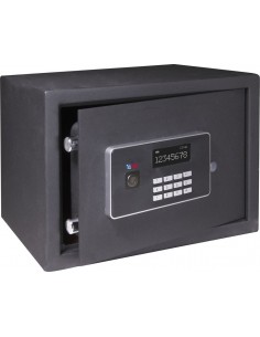 BTV Vision 30 Safe