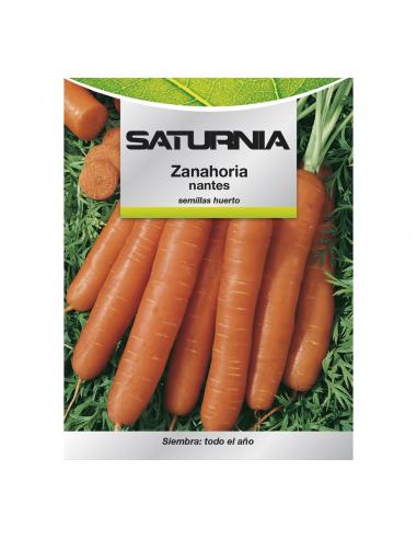Semillas Zanahoria Nantes Temprana (7 Gramos). Semillas Verduras, Horticultura, Horticola, Semillas Huerto. - Imagen 1