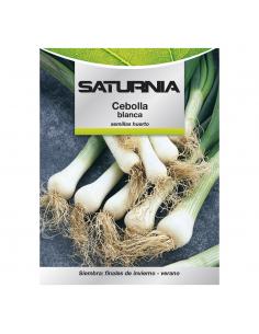 Semillas Cebolla Blanca (4 gramos) Semillas Verduras, Horticultura, Horticola, Semillas Huerto. - Imagen 1