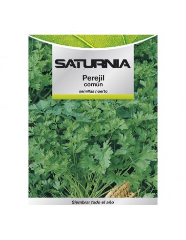 Semillas Perejil Comun (8 gramos) Semillas Verduras, Horticultura, Horticola, Semillas Huerto. - Imagen 1