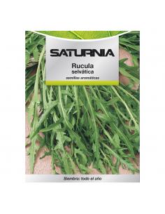 Semillas Aromaticas Rucula Selvatica (2.5 gramos) Horticultura, Horticola, Semillas Huerto. - Imagen 1