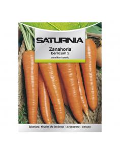 Semillas Huerto Zanahoria Berlicum - Imagen 1