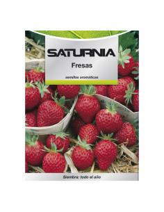 Semillas Huerto Fresas - Imagen 1