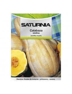 Semillas Huerto Calabaza Violina - Imagen 1