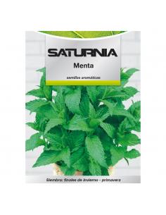 Semillas Aromaticas Menta (0.3 gramos) Horticultura, Horticola, Semillas Huerto. - Imagen 1