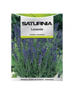 Semillas Aromaticas Lavanda (0.5 gramos) Horticultura, Horticola, Semillas Huerto. - Imagen 1