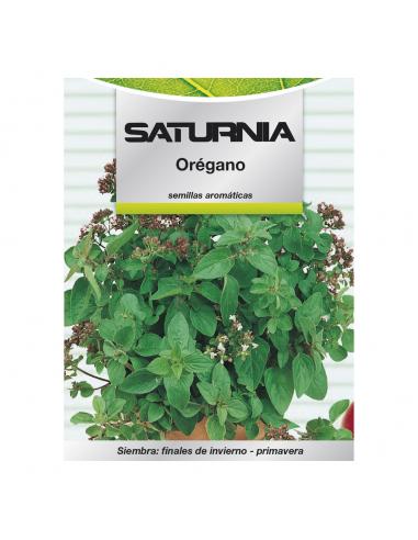 Semillas Aromaticas Oregano (0.3 gramos) Horticultura, Horticola, Semillas Huerto. - Imagen 1