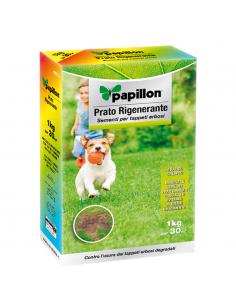 Semillas Cesped Repoblador 1 Kg. - Imagen 1