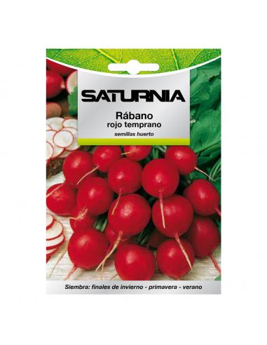 Semillas Rabano Rojo Temprano (8 gramos) Semillas Verduras, Horticultura, Horticola, Semillas Huerto.