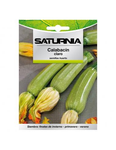 Semillas Calabacin Claro (5 gramos) Semillas Verduras, Horticultura, Horticola, Semillas Huerto.