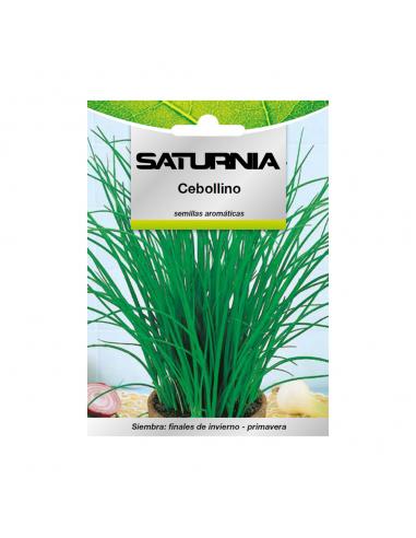 Semillas Aromaticas Cebollino (1 gramo) Horticultura, Horticola, Semillas Huerto.